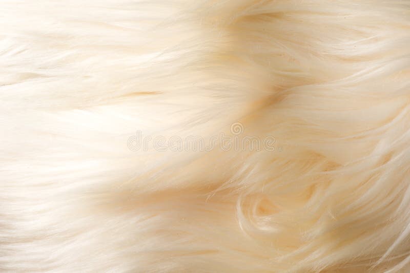 Texture, Background, Pattern. Yak Skin, Hide with Long Hair of W Stock