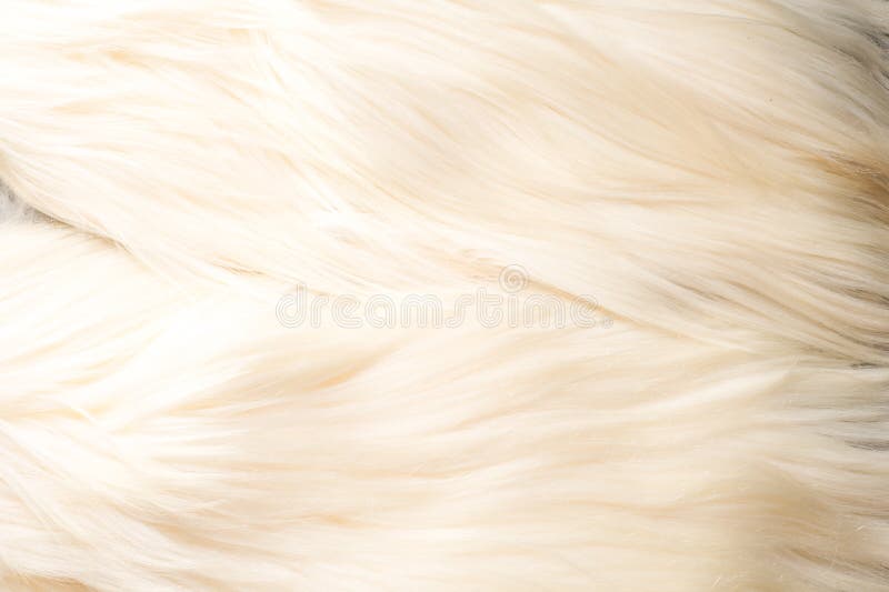 Texture, Background, Pattern. Yak Skin, Hide with Long Hair of W Stock