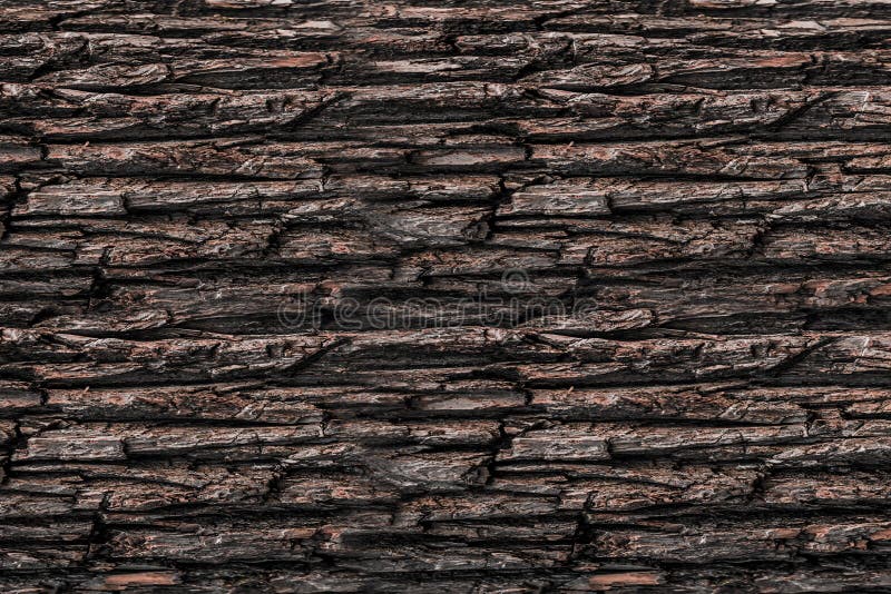 Texture bark tree horizontal pattern dark brown background weathered natural rustic base stock photography