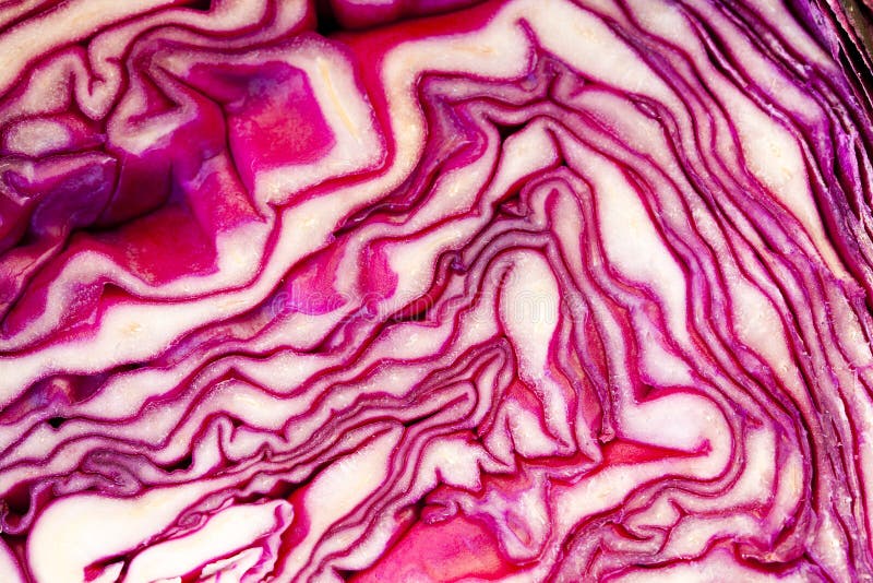 Texture of the beet stock photo. Image of cooking, isolated 21565988