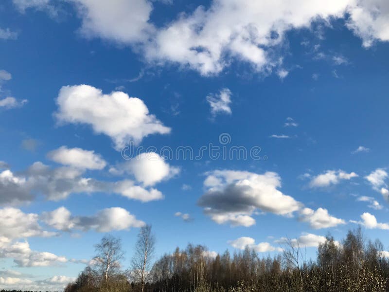Tận hưởng không gian cực kỳ tuyệt vời với nền trời xanh và những đám mây trắng nhẹ nhàng, sạch sẽ và tuyệt đẹp, chỉ cần một cái nhìn và bạn sẽ không thể quên.