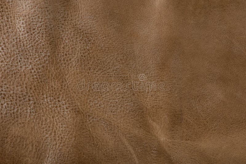 Texture of Brown Leather. Texture of Natural Brown Leather Stock Photo
