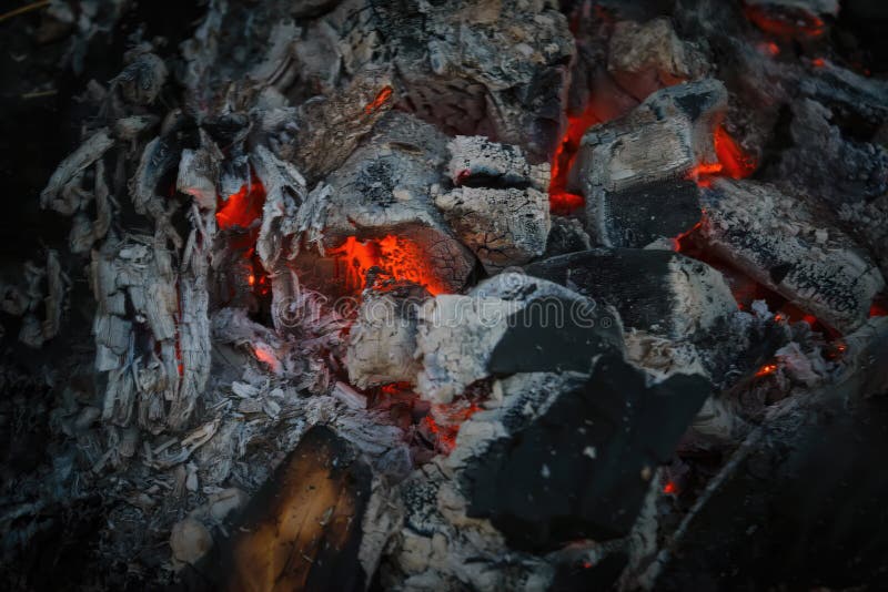 Hot Red Coals Texture. Burning Charcoals Background. Closeup Of A Hot