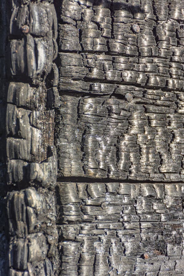 The Remains of the House Burned in the Fire Stock Photo Image of
