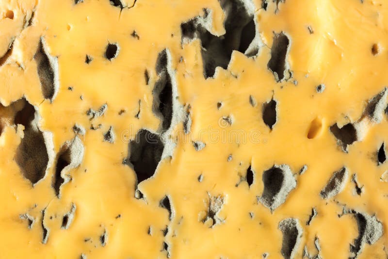 Piece of blue cheese stock photo. Image of slice, delicious 86541968