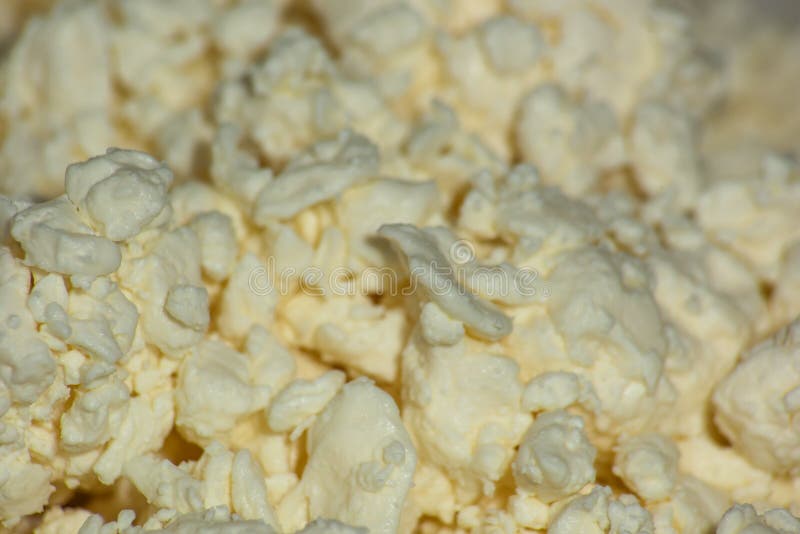 Texture cottage cheese stock photo. Image of breakfast 137707572