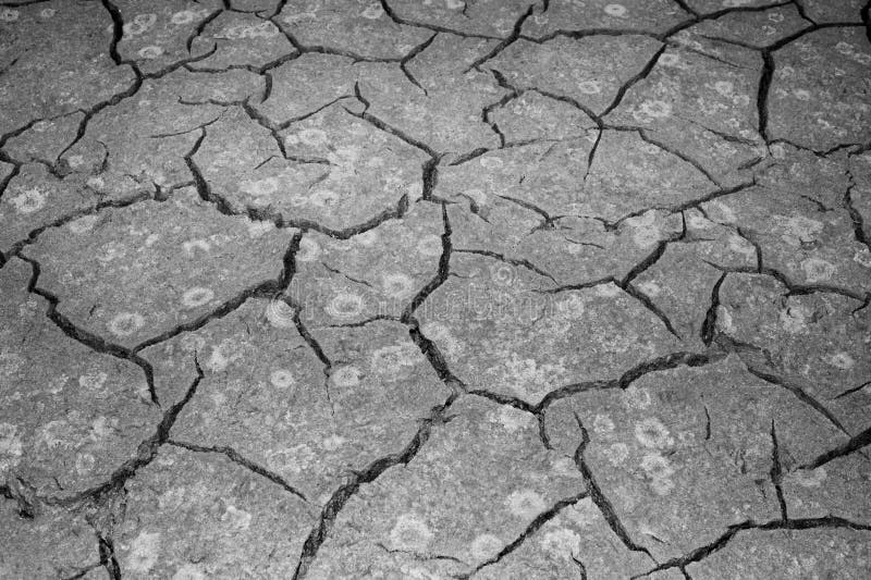 The texture of the cracking of the earth. The concept of using natural resources. Black and white image stock photography The texture of the cracking of the earth. The concept of using natural resources. Black and white image stock photography