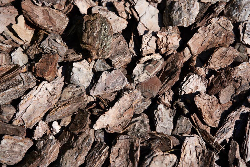 The Texture of Crushed Tree Bark on a Closeup Background. Crushed