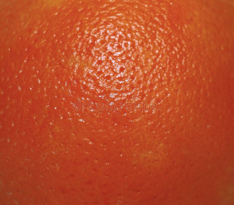 Texture De Peau Dorange Image Stock Image Du Cellulite 45565799