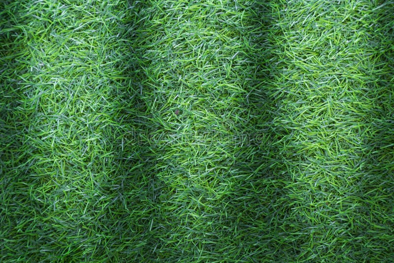 Texture d'herbe ou fond d'herbe herbe verte pour la conception de l'avant-projet de terrain de golf, de terrain de football ou de photos stock Texture d'herbe ou fond d'herbe herbe verte pour la conception de l'avant-projet de terrain de golf, de terrain de football ou de photos stock