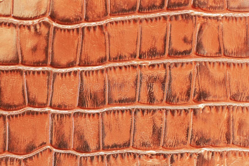 Texture d'un gros plan en cuir marron authentique, avec des reptiles à écailles gaufrées, mode tendance