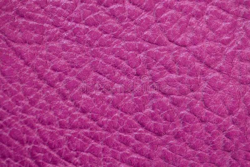 Texture de cuir véritable, rose lumineux, couleur cramoisie, surface mate, fond à la mode Bannière moderne de modèle de contexte