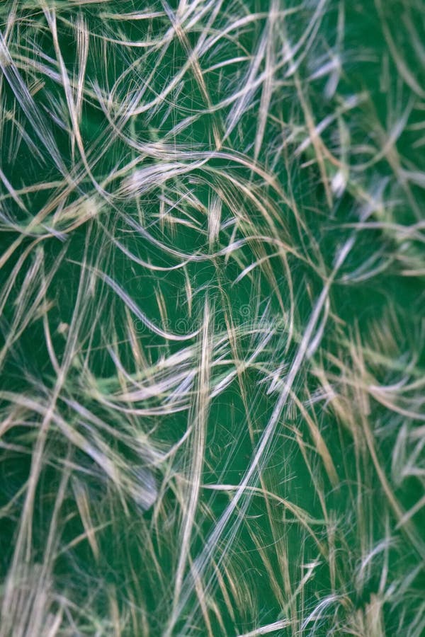 Texture de fibre de verre photographie stock Texture de fibre de verre photographie stock