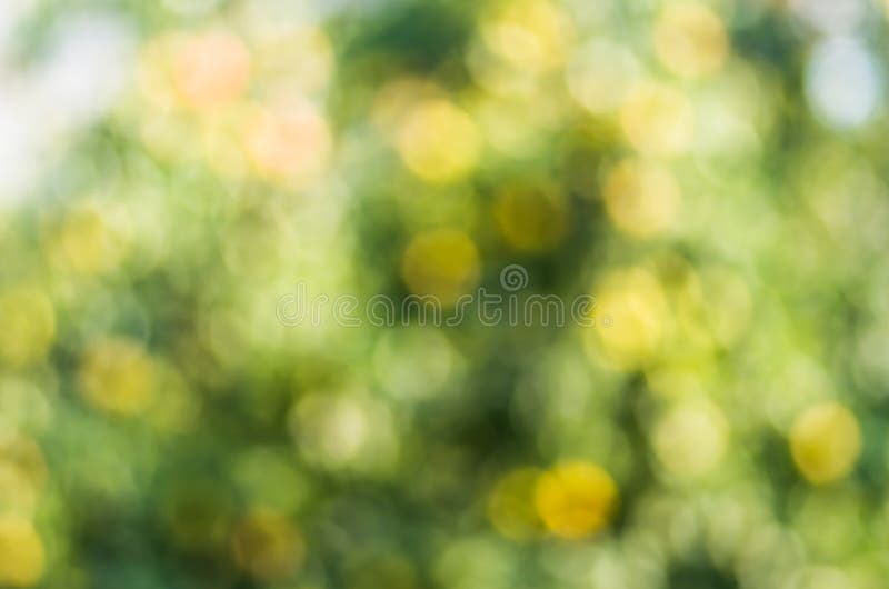 Texture de fond de tache floue de vert jaune photo libre de droits Texture de fond de tache floue de vert jaune photo libre de droits
