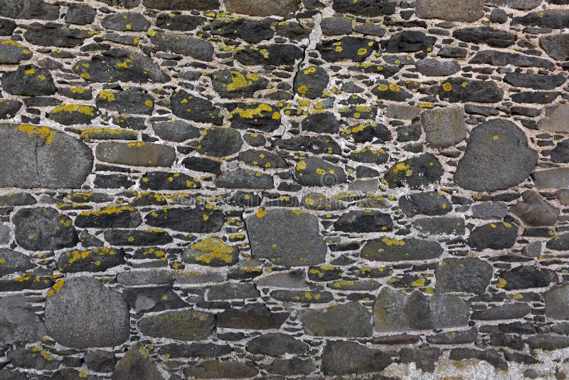 Texture de fond du lichen de vert jaune couvrant le blueston gris image stock Texture de fond du lichen de vert jaune couvrant le blueston gris image stock
