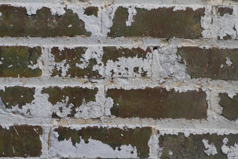 Texture de grunge de mur de briques peinte par blanc
