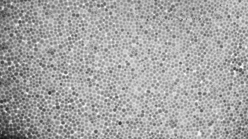 Texture de la feuille blanche de polystyrène de mousse image stock Texture de la feuille blanche de polystyrène de mousse image stock