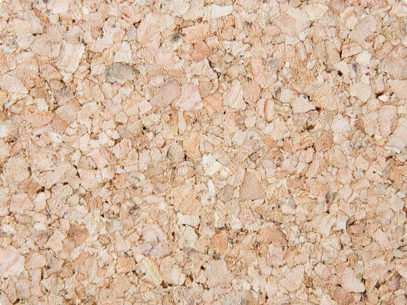 Cork wood texture or background. Cork wood texture or background