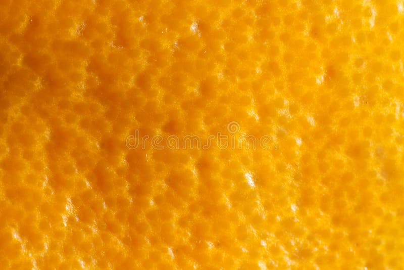 Texture De Peau Dorange Image Stock Image Du Horizontal 17574173