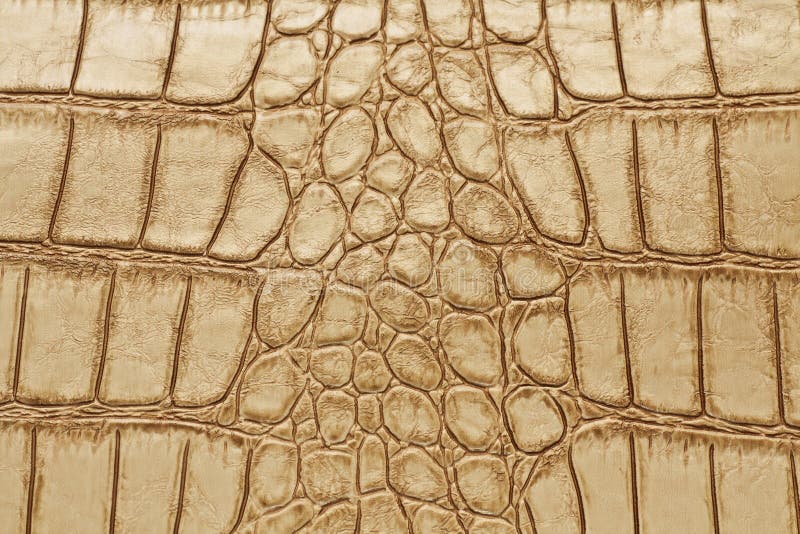 Texture de peau de crocodile