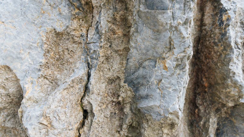 Download Texture De Pierre De Chaux De Debnik Photo stock - Image du limestone, toile: 77154252
