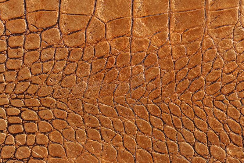 Texture de plan rapproché en cuir véritable brun orange, avec les reptiles de relief d'échelles, modèle de tendance de mode, papi