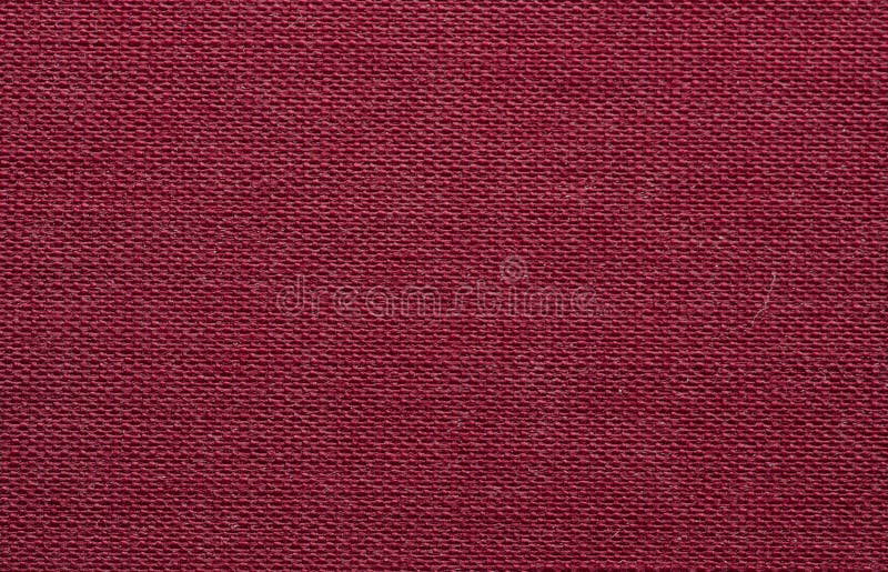 Texture de plan rapproché de peau photos stock Texture de plan rapproché de peau photos stock