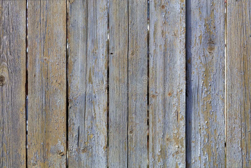 Texture de vieille barri?re en bois grise superficielle par les agents images stock Texture de vieille barri?re en bois grise superficielle par les agents images stock