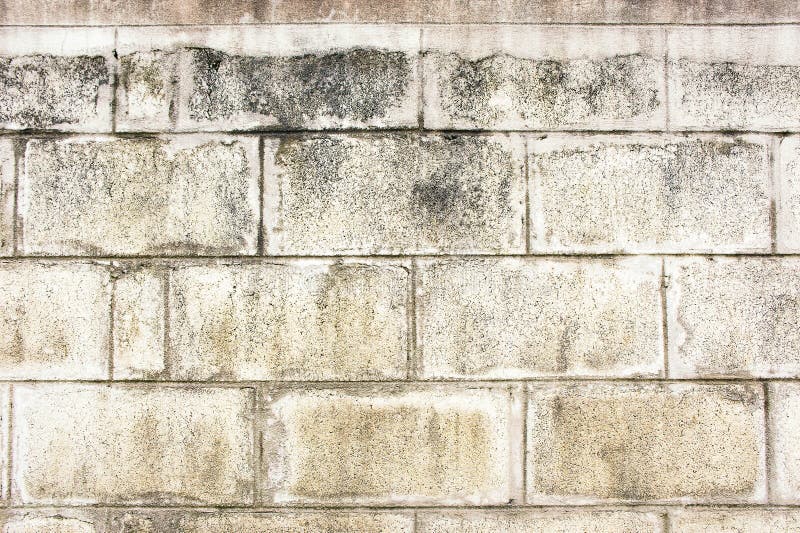 Texture Dirty Wall Cement Block Stock Image - Image of block, closeup