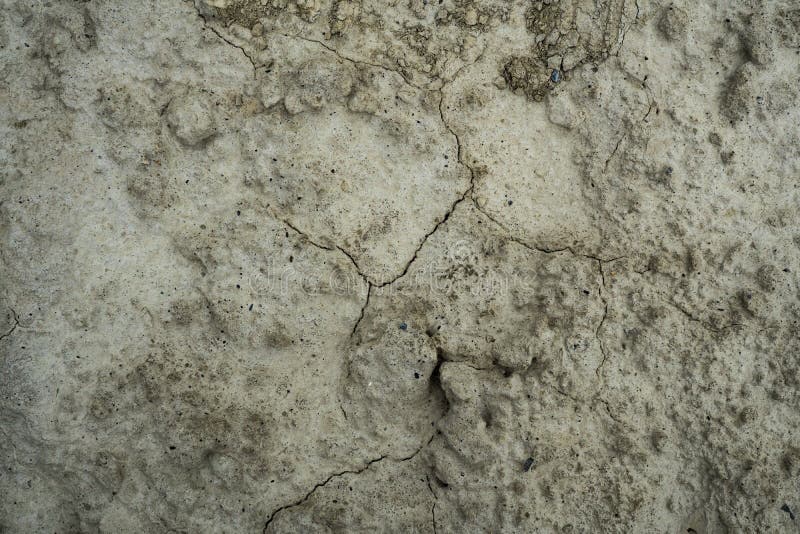 Texture of dried cracked clay stock image Texture of dried cracked clay stock image