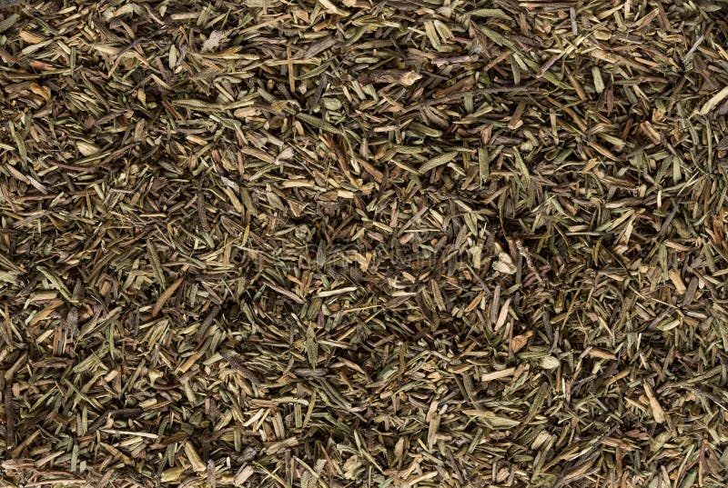 Texture of dried thyme closeup, spice as background royalty free stock photos Texture of dried thyme closeup, spice as background royalty free stock photos