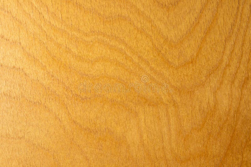 Texture du bois, macro de fermeture des matériaux de bois, haute résolution photo libre de droits Texture du bois, macro de fermeture des matériaux de bois, haute résolution photo libre de droits