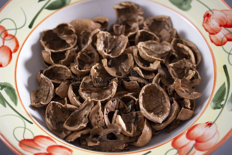 Empty shell from a walnut stock images