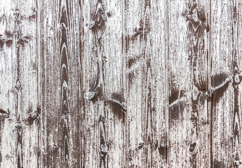 Texture en bois blanche image libre de droits Texture en bois blanche image libre de droits