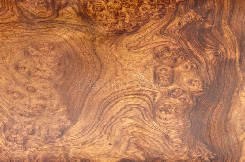 Texture en bois de teck d'or photos stock Texture en bois de teck d'or photos stock