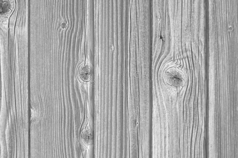 Texture En Bois Gris-clair De Grain Photo stock - Image du planche