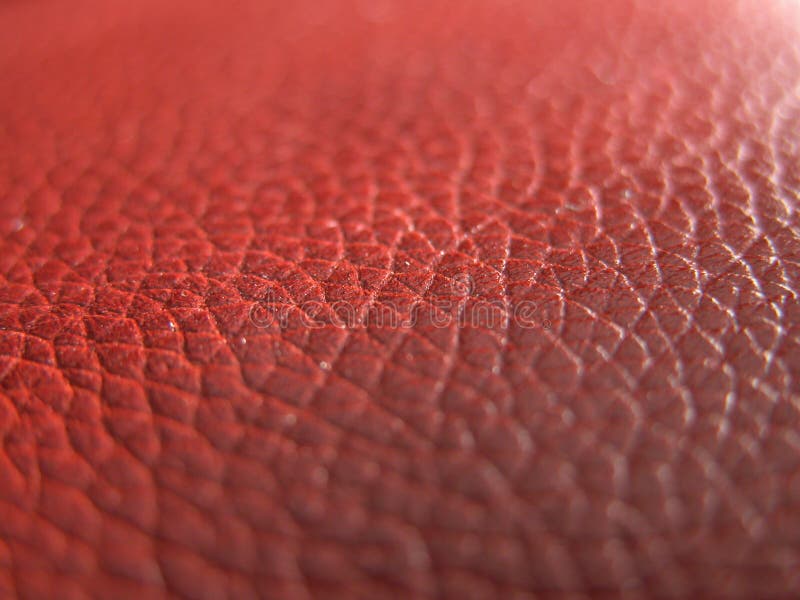 Texture en cuir Texture en cuir
