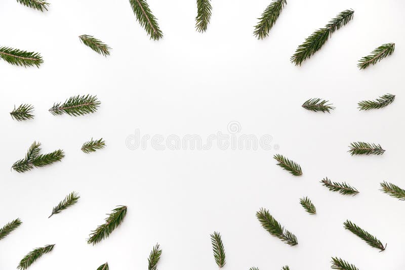 Texture of fir branches with copyspace on white. Christmas decorations. Top view