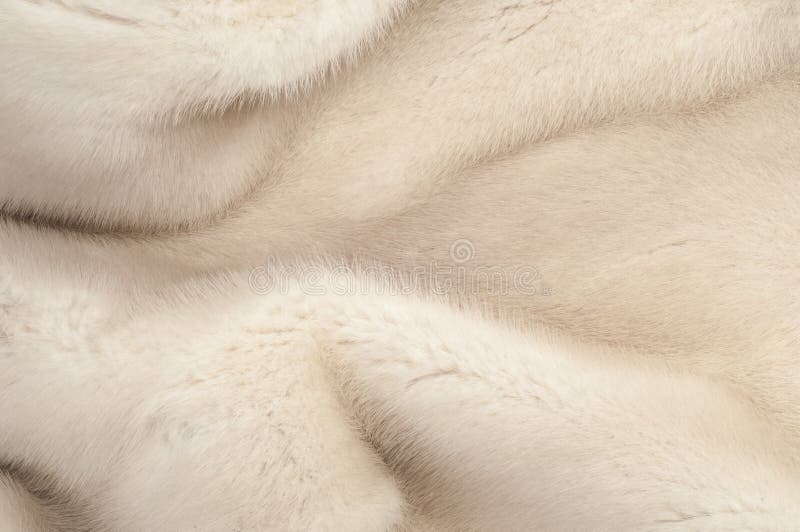 Texture, fur white (blue) mink