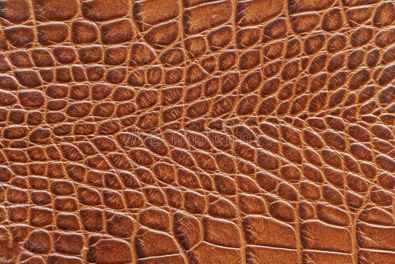 Texture of genuine leather close-up, brown color, embossed under the skin of reptile, croco. For background