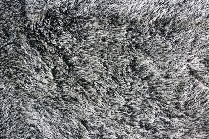 Texture of Gray Fabric Carpet Stock Image Image of background, color