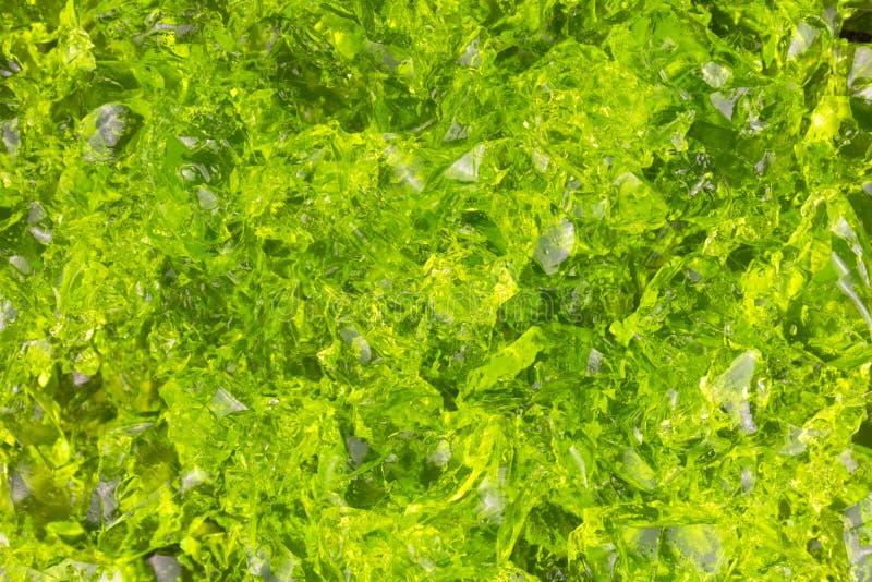 Seamless Slime Texture Stock Photos - Free & Royalty-Free Stock Photos from  Dreamstime