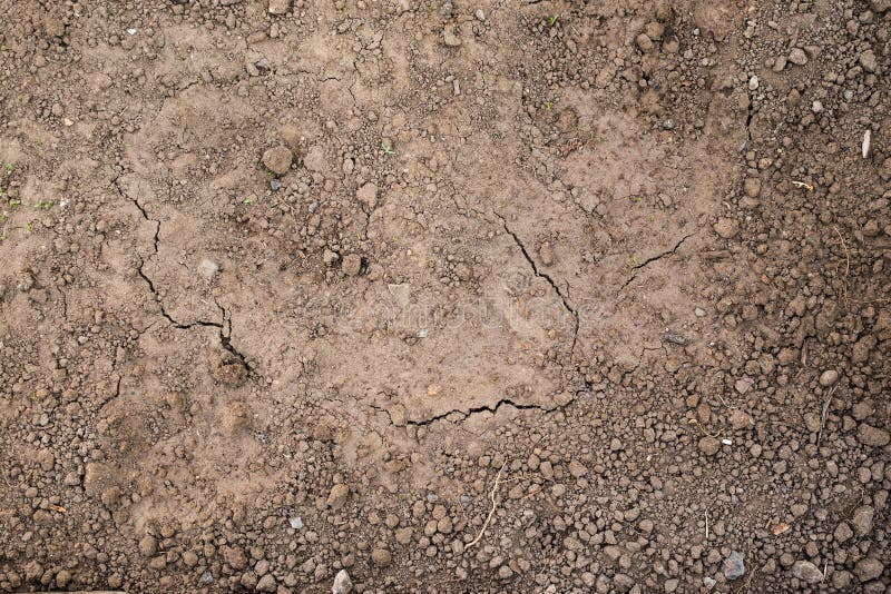 Texture of the ground ready for planting. Wet and dry land, the view from the top. royalty free stock photo Texture of the ground ready for planting. Wet and dry land, the view from the top. royalty free stock photo
