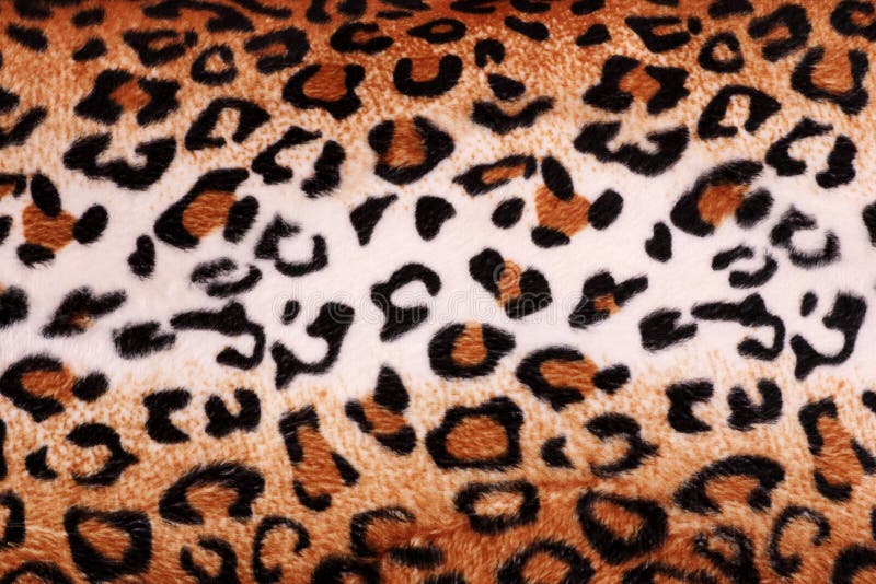 Texture of leopard tiger fur skin background royalty free stock images Texture of leopard tiger fur skin background royalty free stock images