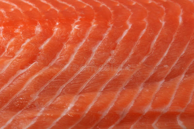 Salmon Meat Texture stock photo. Image of culinary, cooking 28076178