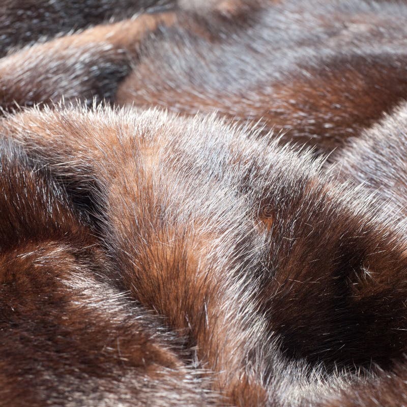 Texture. Mink fur stock image. Image of detail, background - 123443821