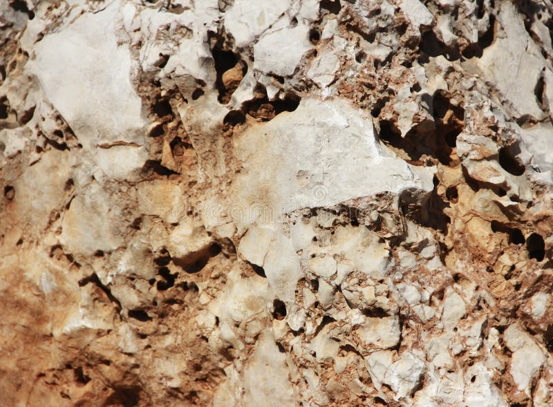 The Texture of a Mountain Brown Stone with White Veins and Hollows