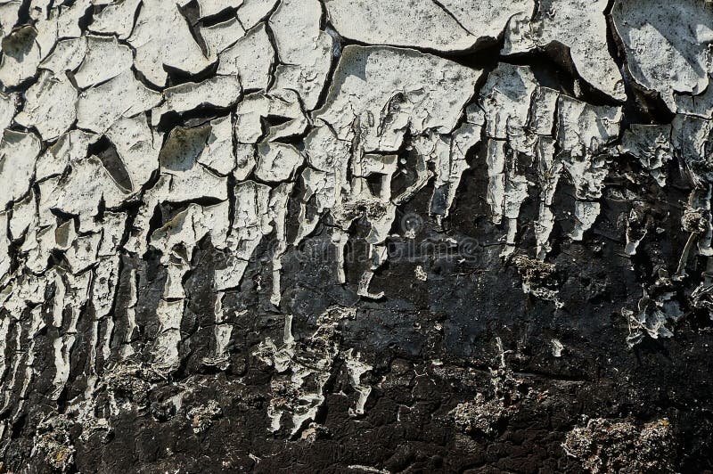 Texture noire blanche de vieille peinture minable avec des fissures images libres de droits Texture noire blanche de vieille peinture minable avec des fissures images libres de droits