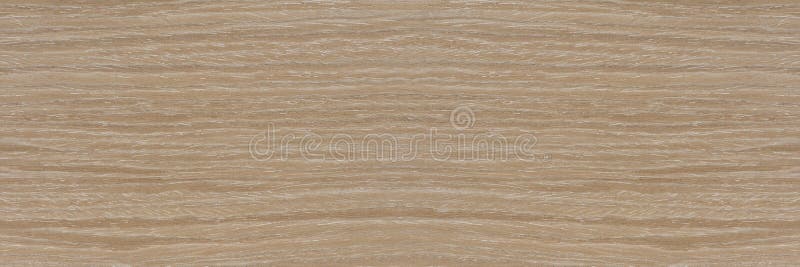 Texture of oak. Texture of natural solid wood. Oak board with a white tint, bleached wood for the production of