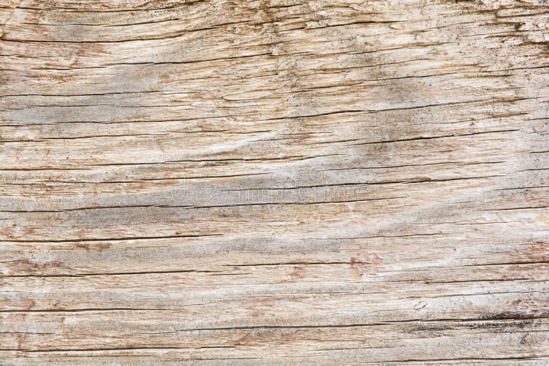Faded Wood stock image. Image of spoiled, abstract, weathered 14483325